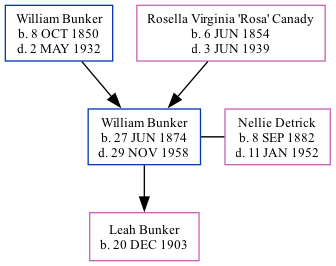 Family Tree