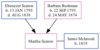 Family Tree