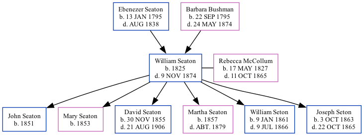 Family Tree