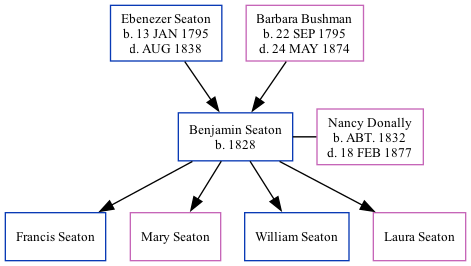 Family Tree