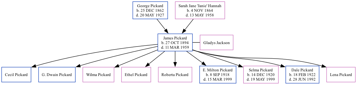 Family Tree