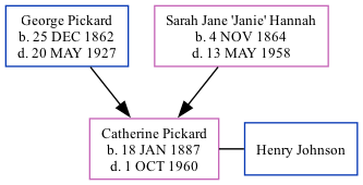 Family Tree