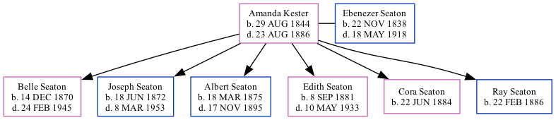 Family Tree