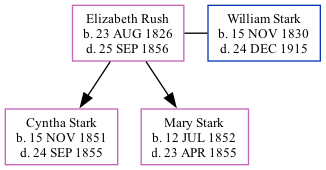 Family Tree