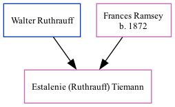 Family Tree