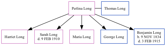 Family Tree