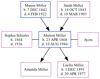 Family Tree