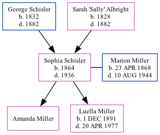 Family Tree