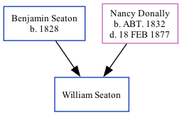 Family Tree