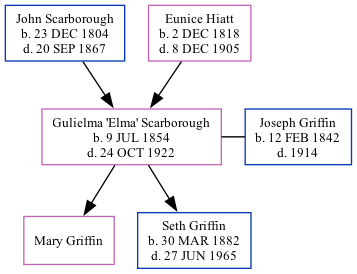 Family Tree