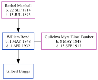 Family Tree