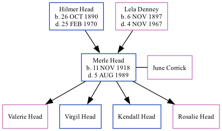 Family Tree