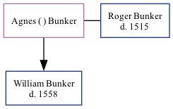 Family Tree