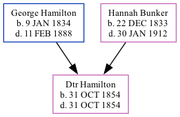 Family Tree