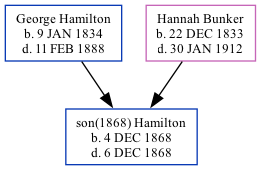 Family Tree