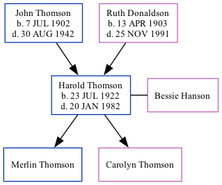 Family Tree