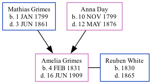 Family Tree