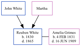 Family Tree