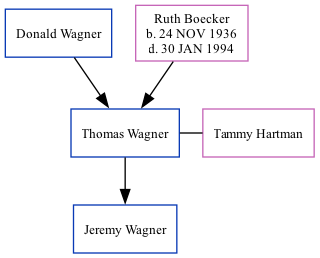 Family Tree