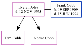 Family Tree