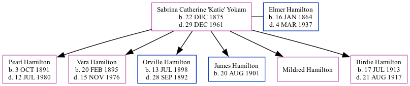 Family Tree