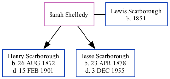 Family Tree