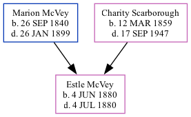 Family Tree