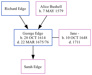 Family Tree