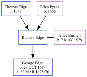 Family Tree