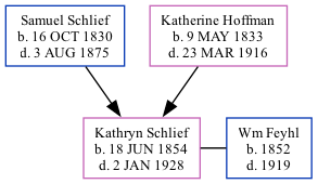 Family Tree