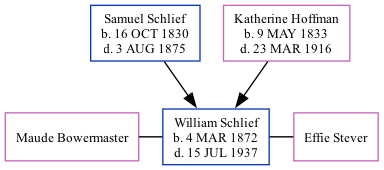 Family Tree