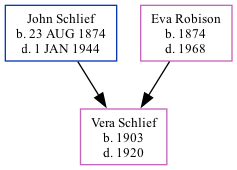 Family Tree