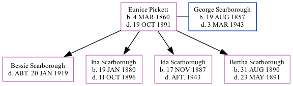 Family Tree