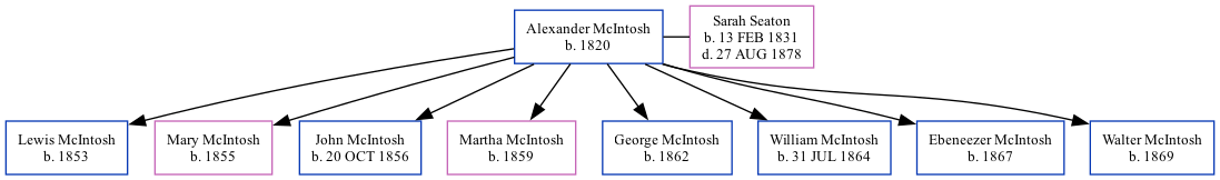 Family Tree