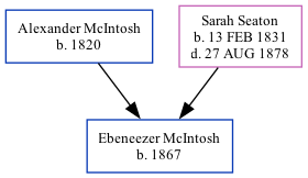 Family Tree