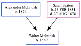 Family Tree