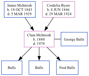 Family Tree