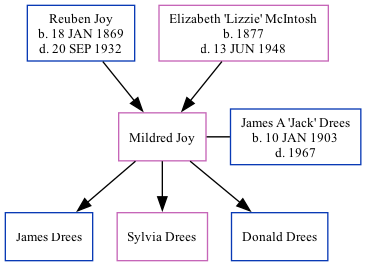 Family Tree