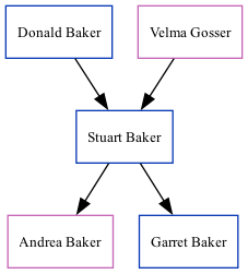 Family Tree