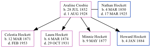 Family Tree