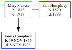 Family Tree