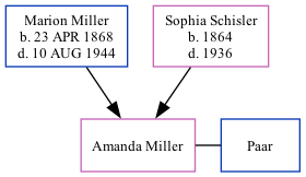 Family Tree