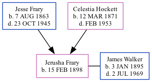 Family Tree