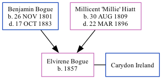 Family Tree