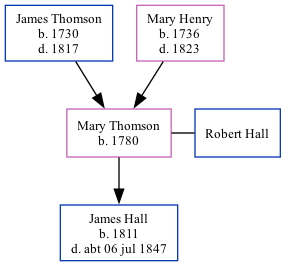 Family Tree