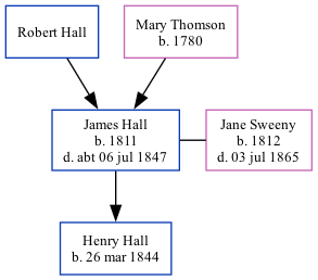 Family Tree