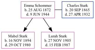 Family Tree