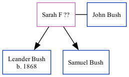 Family Tree