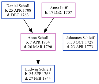 Family Tree