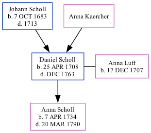 Family Tree